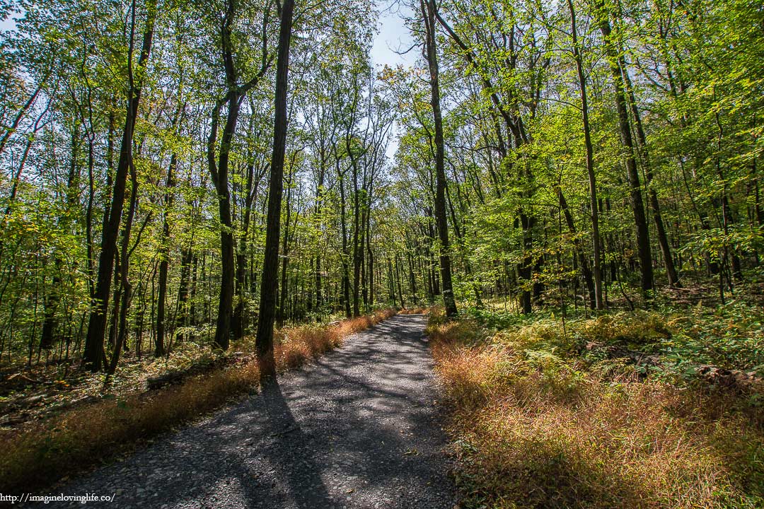 dirt road